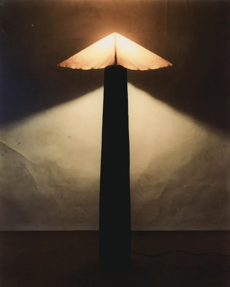 N V Oak Floor Lamp