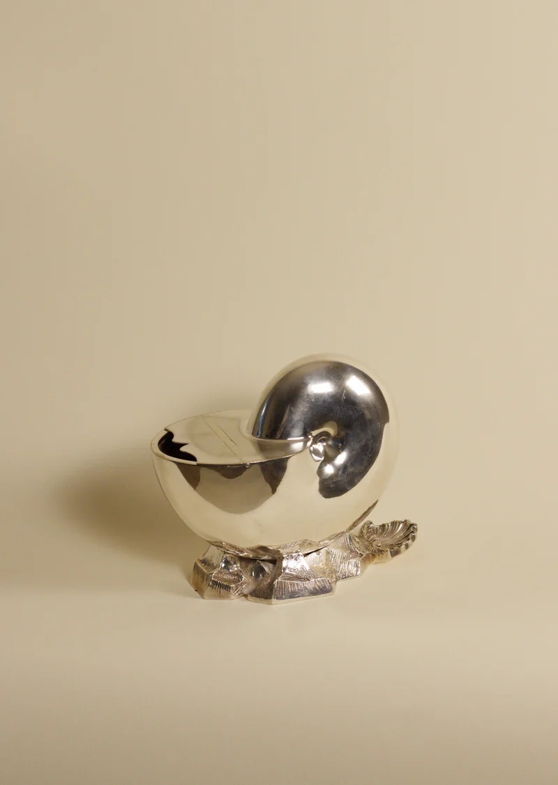 Nautilus Shell Silver-Plated Spoon Warmer