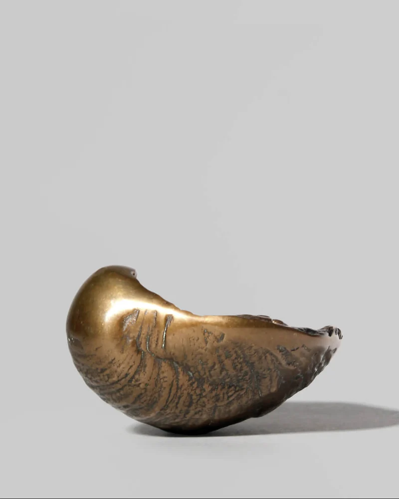 Antique Bronze Shell Bowl Sculpture