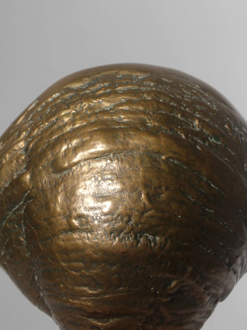 Antique Bronze Shell Bowl Sculpture