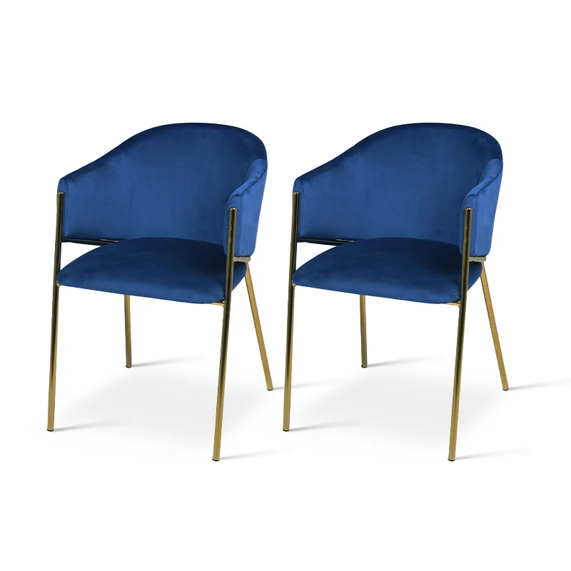 Fauteuil salle à manger Dalila [Lot de 2] [Velours]