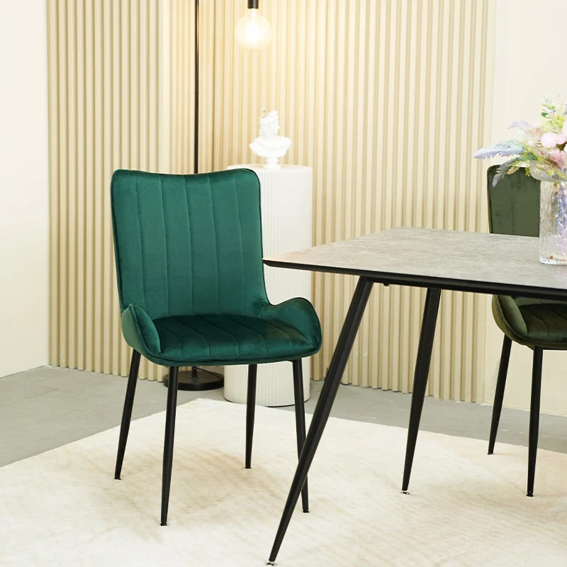 Chaise de Salle à Manger Edith [Lot de 2] [Velours]