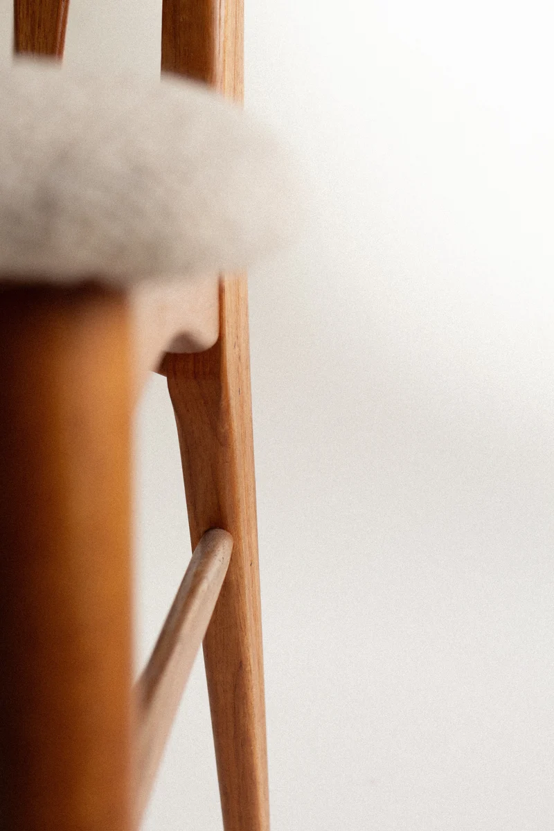 Eva Dining Chairs by Niels Koefoed for Hornslet Møbelfabrik, 1960s, Set of 5