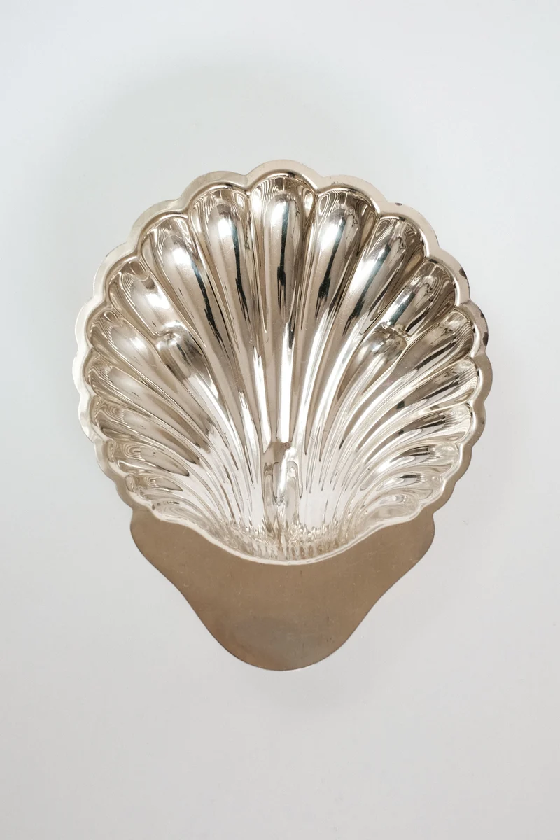 Medium Shell Shaped Vide-poches