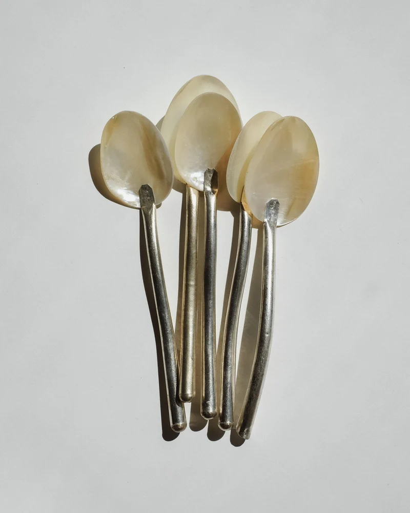 Set of 5 Handmade Mother of Pearl Shell Spoons