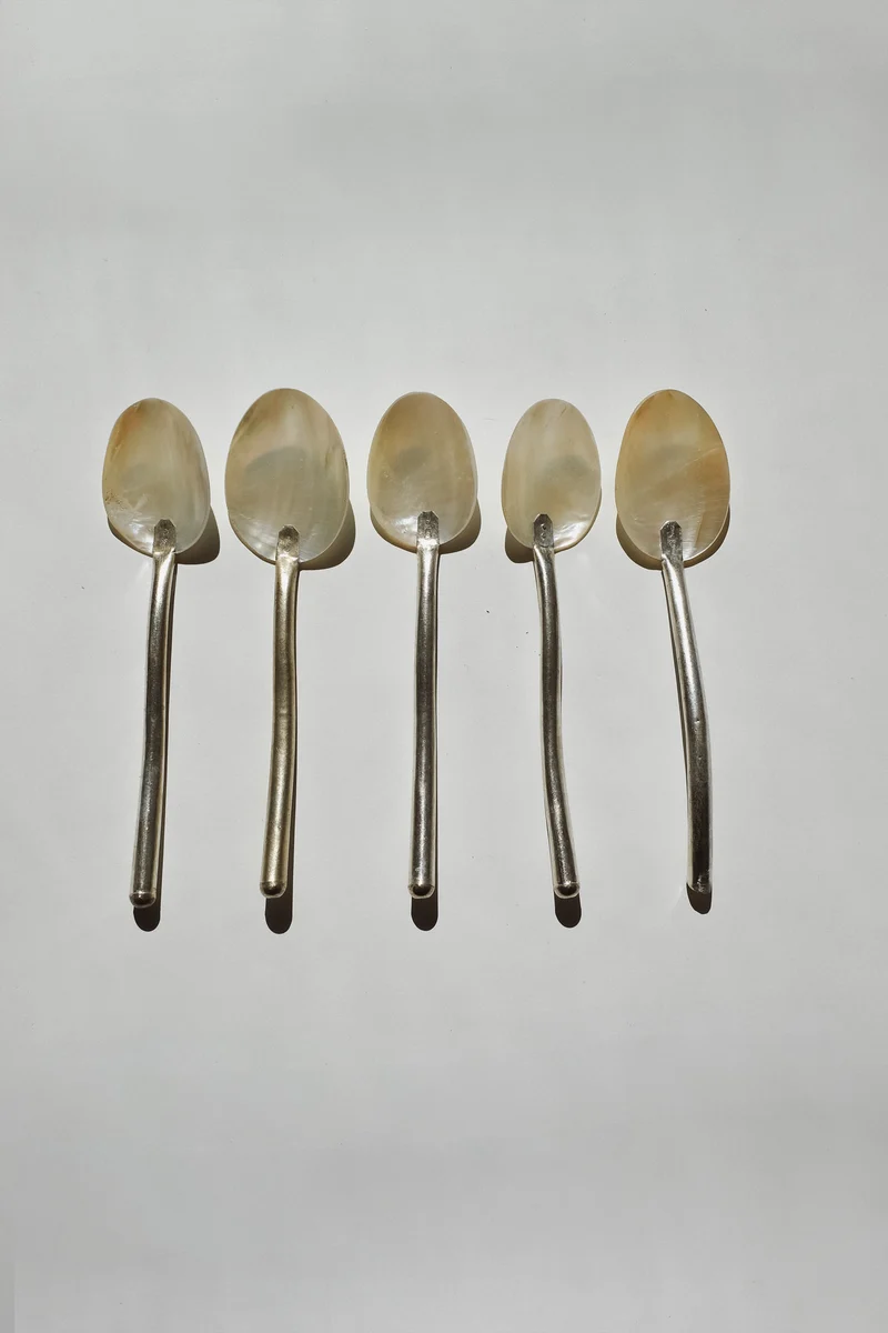 Set of 5 Handmade Mother of Pearl Shell Spoons