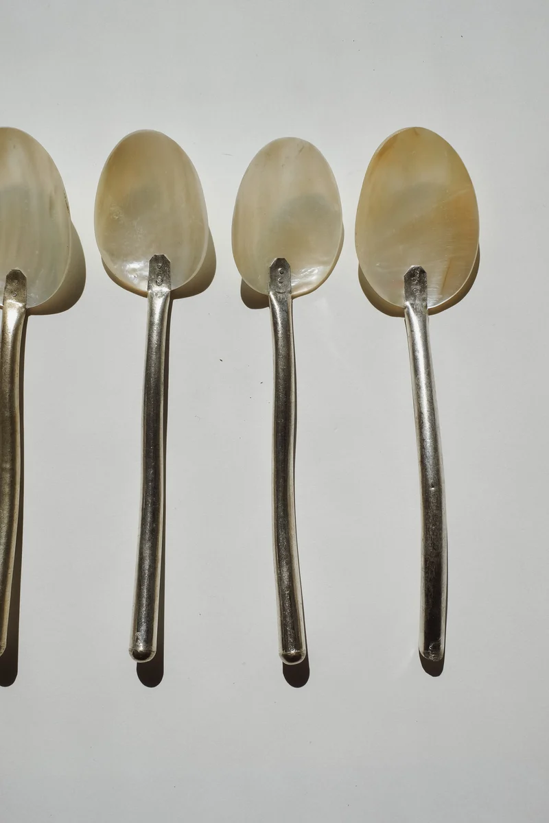 Set of 5 Handmade Mother of Pearl Shell Spoons
