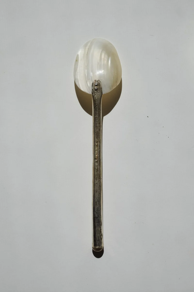 Set of 5 Handmade Mother of Pearl Shell Spoons