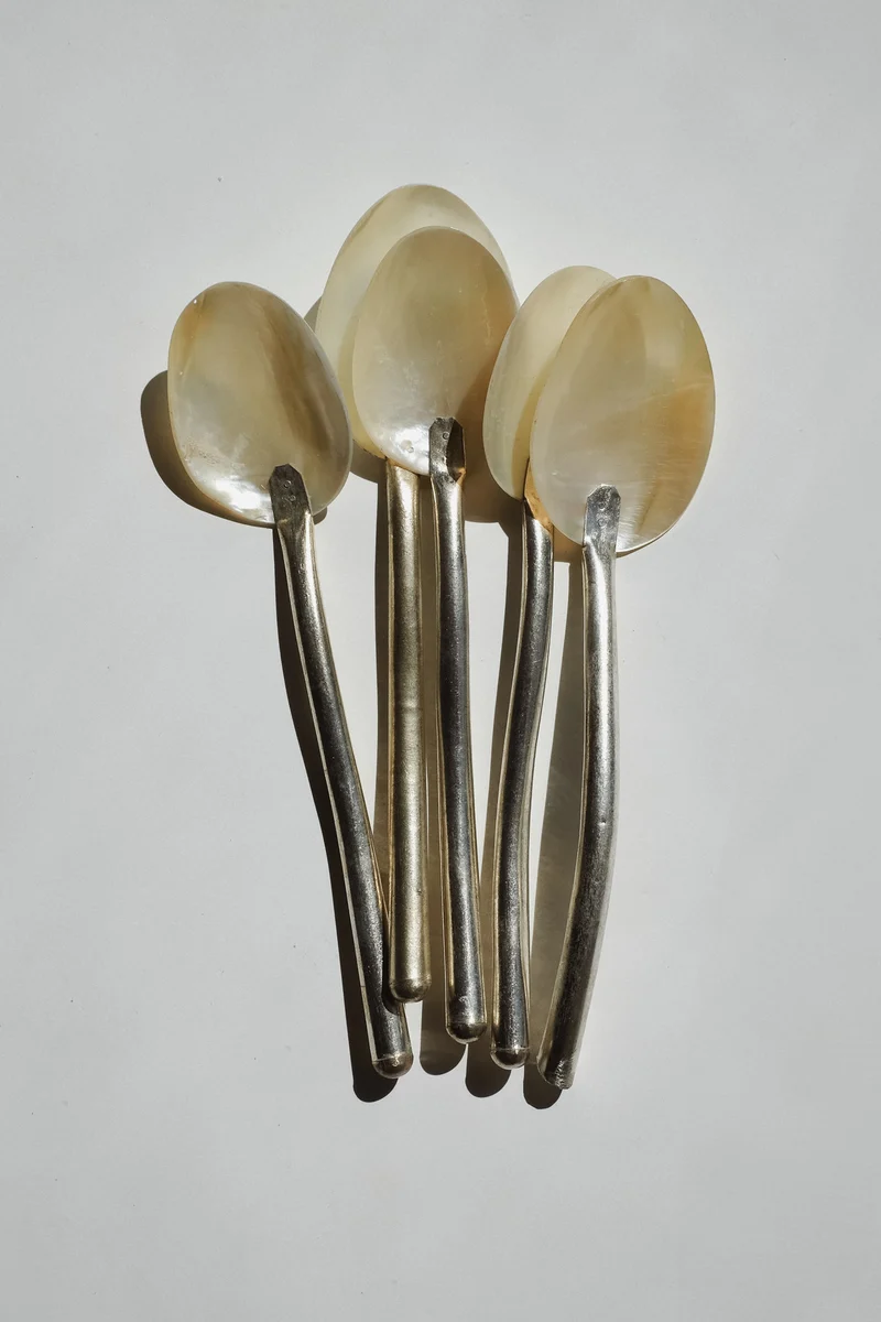 Set of 5 Handmade Mother of Pearl Shell Spoons