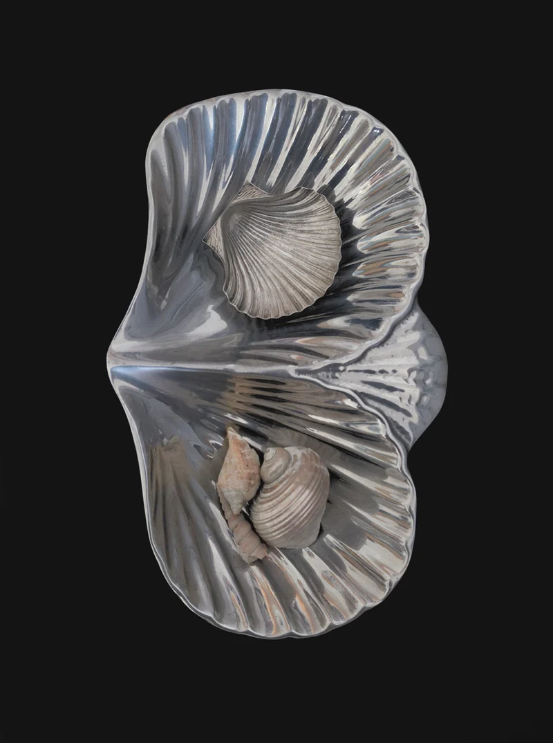 Shell Brass Double Tray