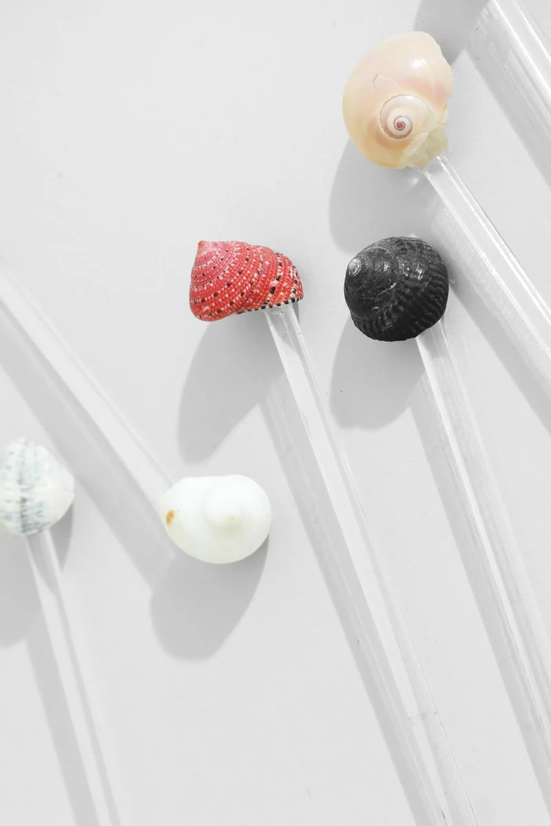 Shell Swizzle Set