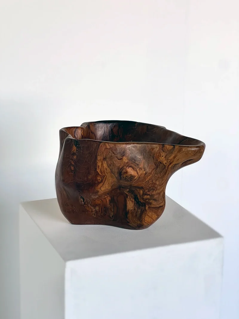 Carved Organic Form Wooden Bowl