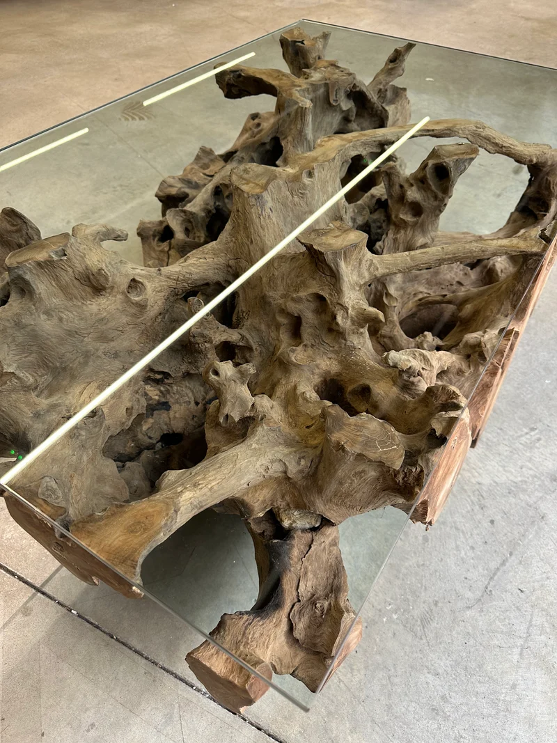 Table Basse Design en Racine de Bois et Plateau Verre
