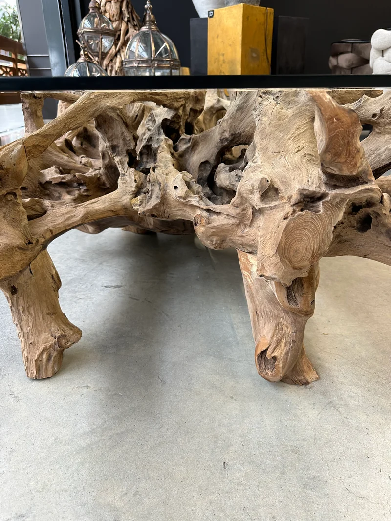 Table Basse Design en Racine de Bois et Plateau Verre