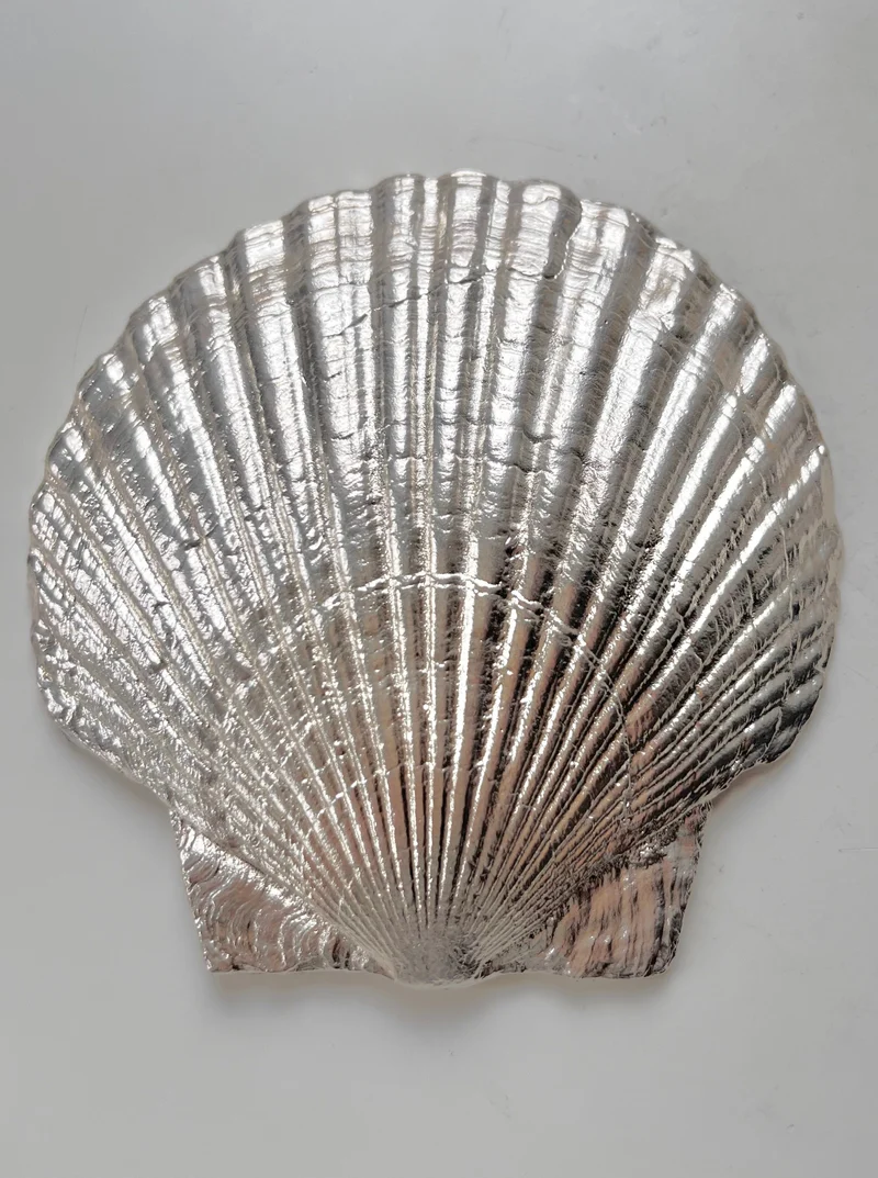 Fossil Shell Plate in Silver