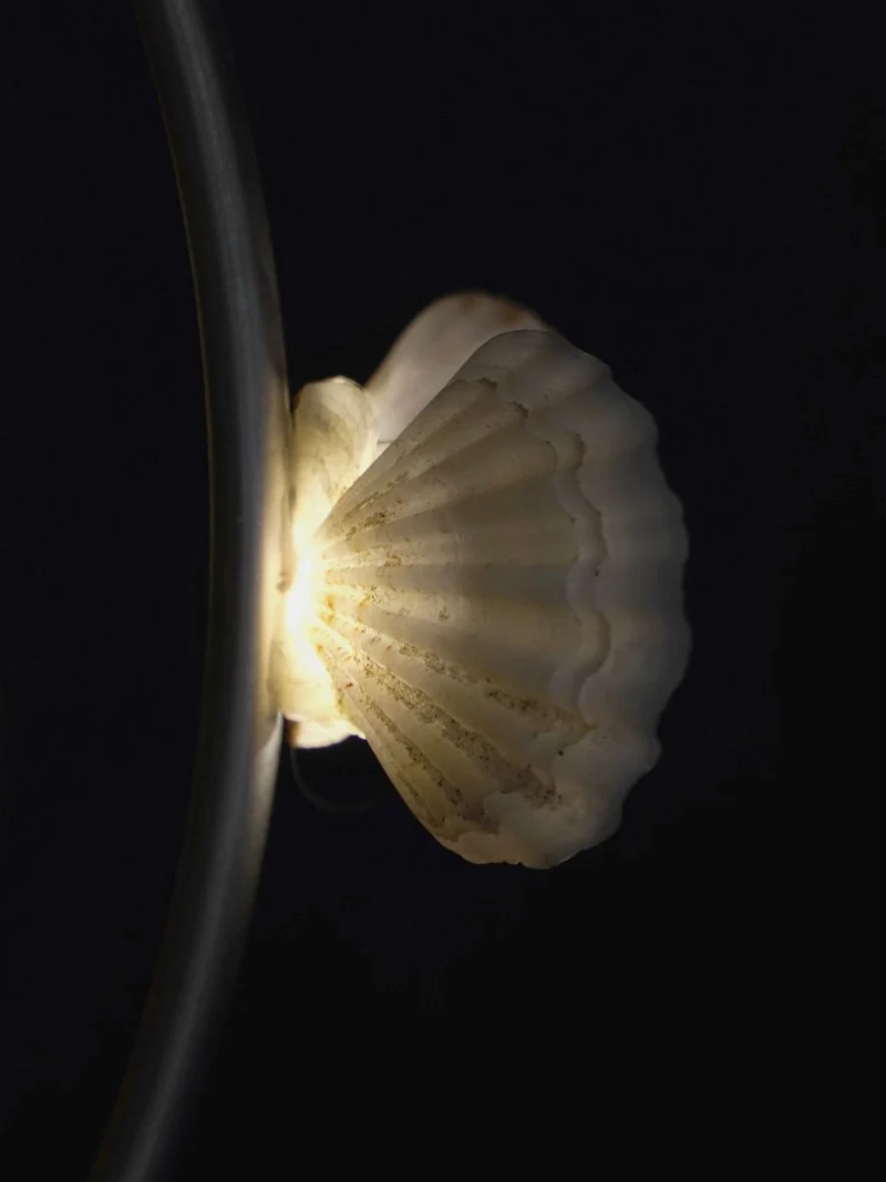 The Floor Lamp With Shells