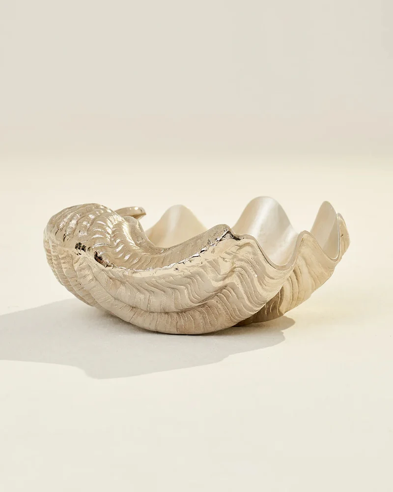 Seashell