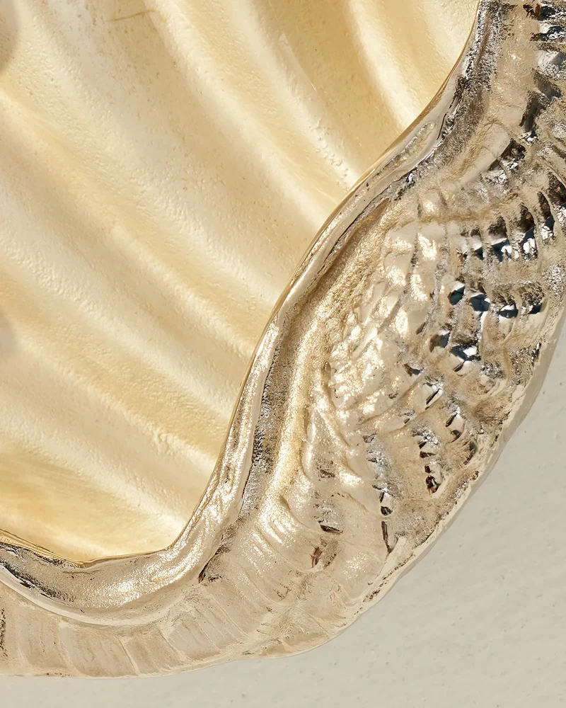 Seashell