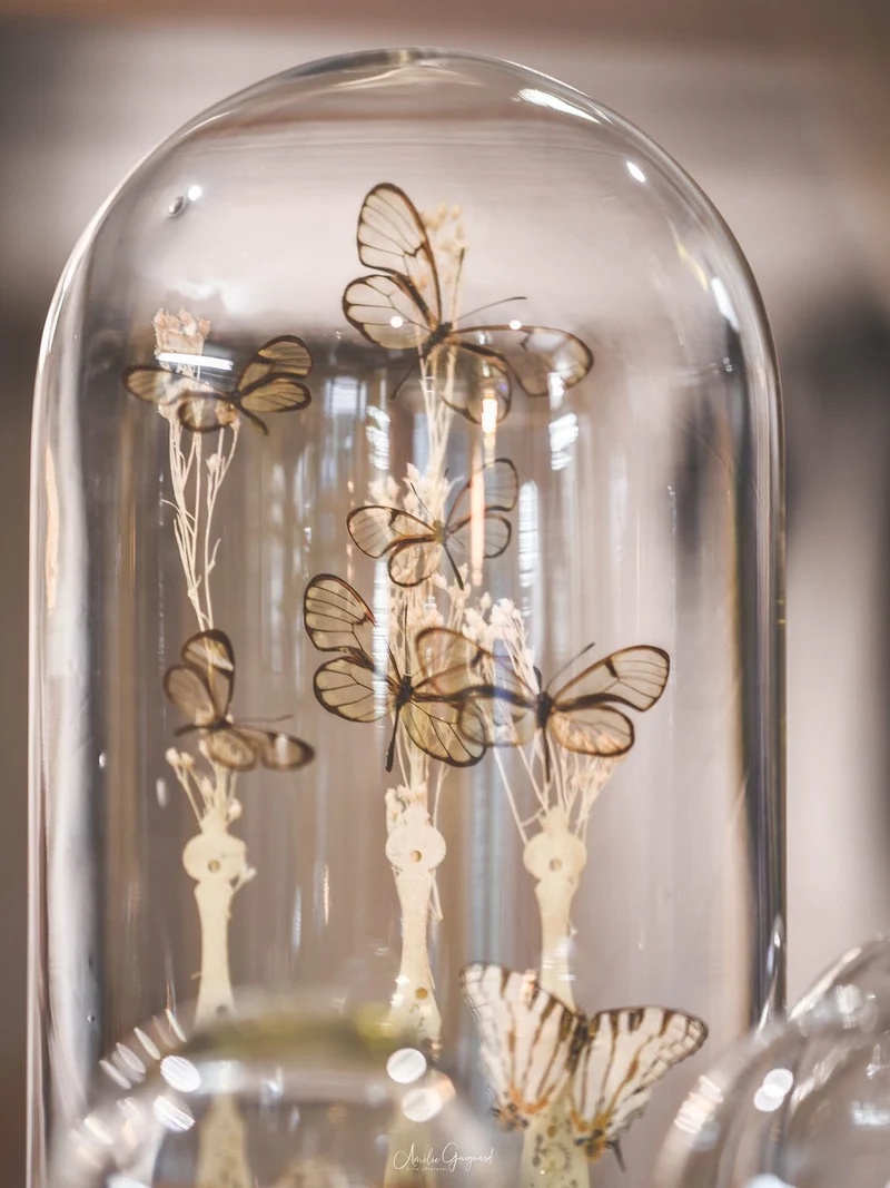 Cloche en verre décorative