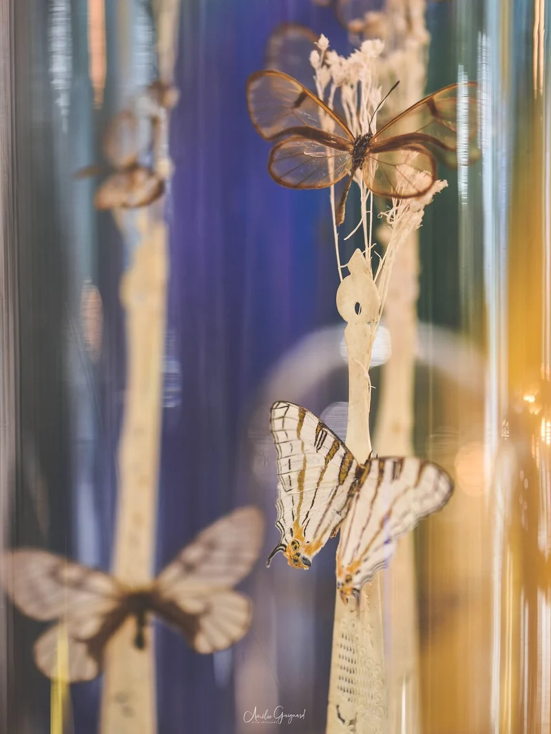 Cloche en verre décorative