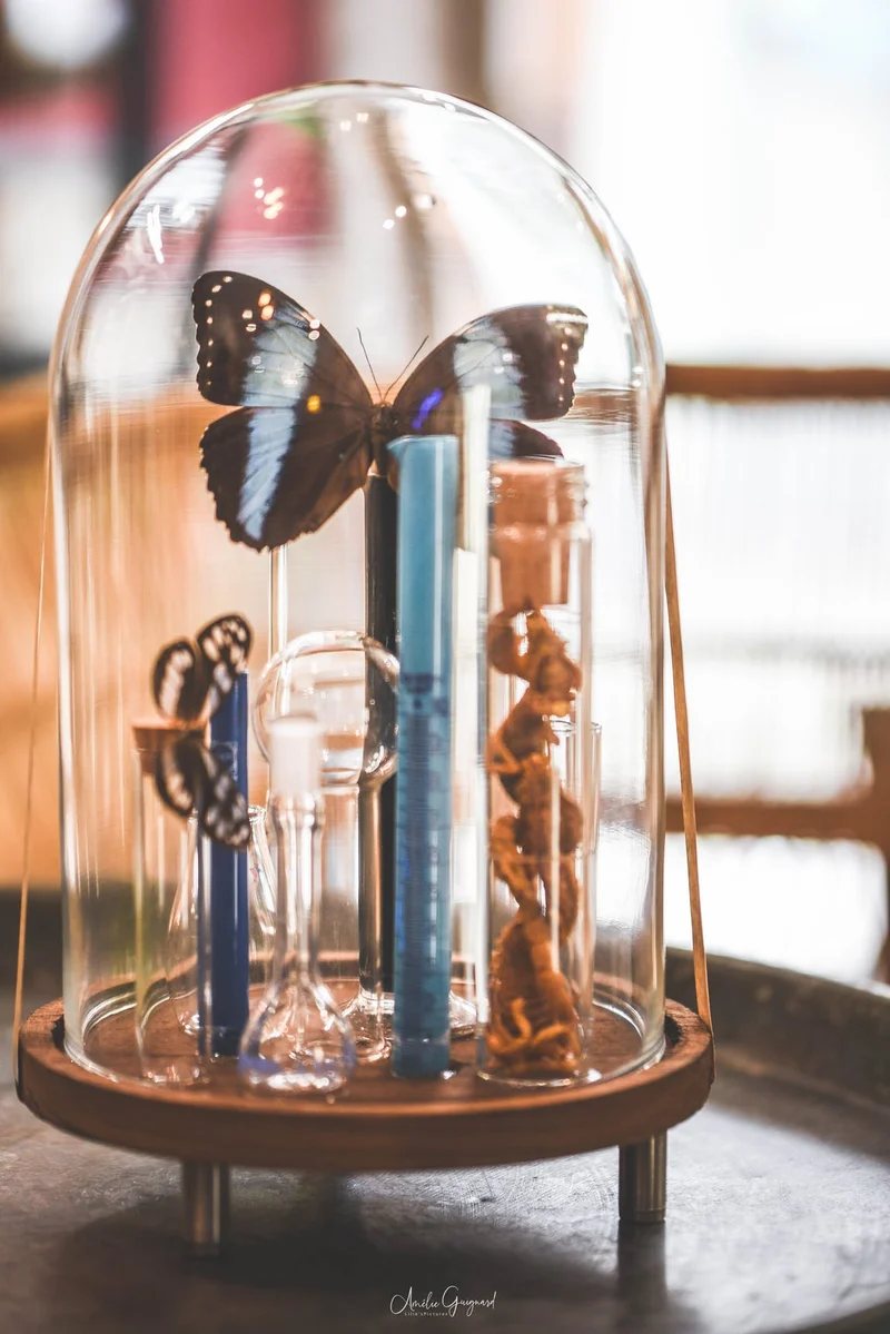 Cloche en verre décorative