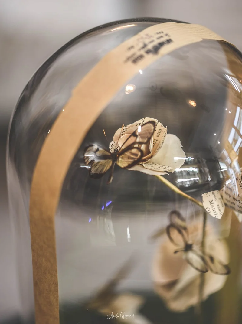 Cloche en verre décorative