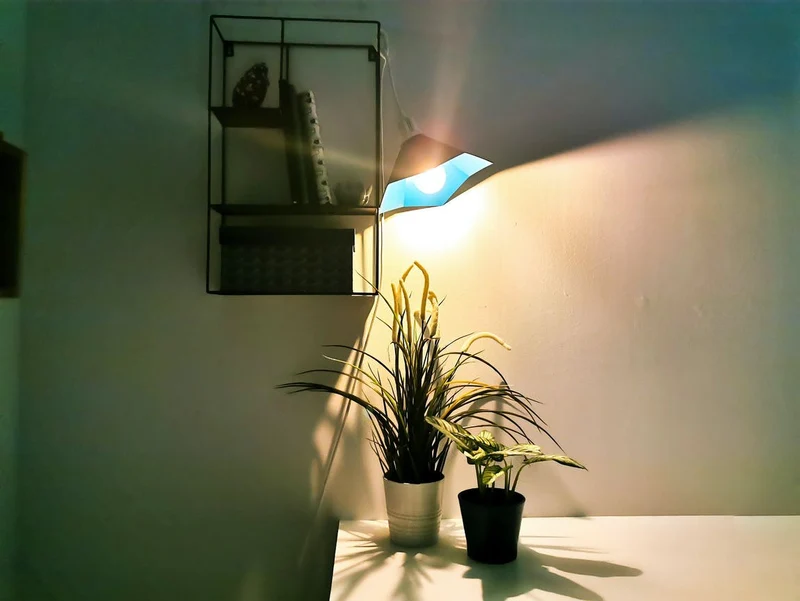 Baladeuse - Gramophone