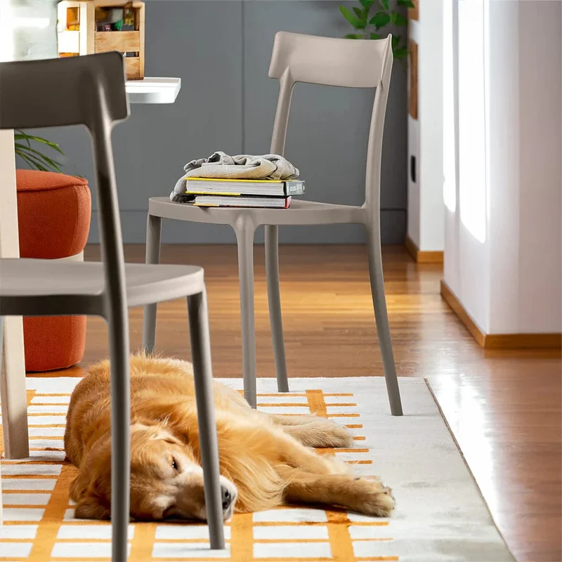 Chaise Connubia- Argo CB1523