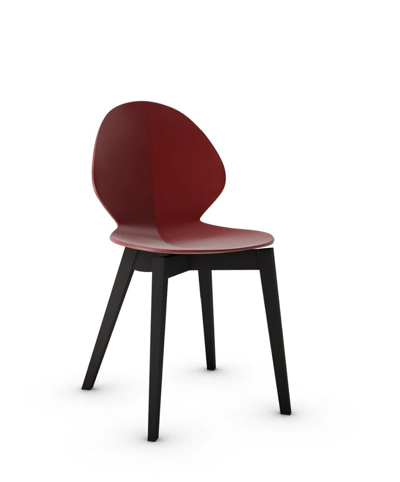 Chaise Calligaris - Basil Wood (CS1348)