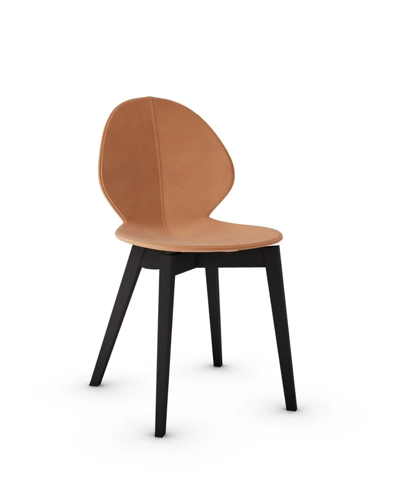 Chaise Calligaris - Basil Wood (CS1348)