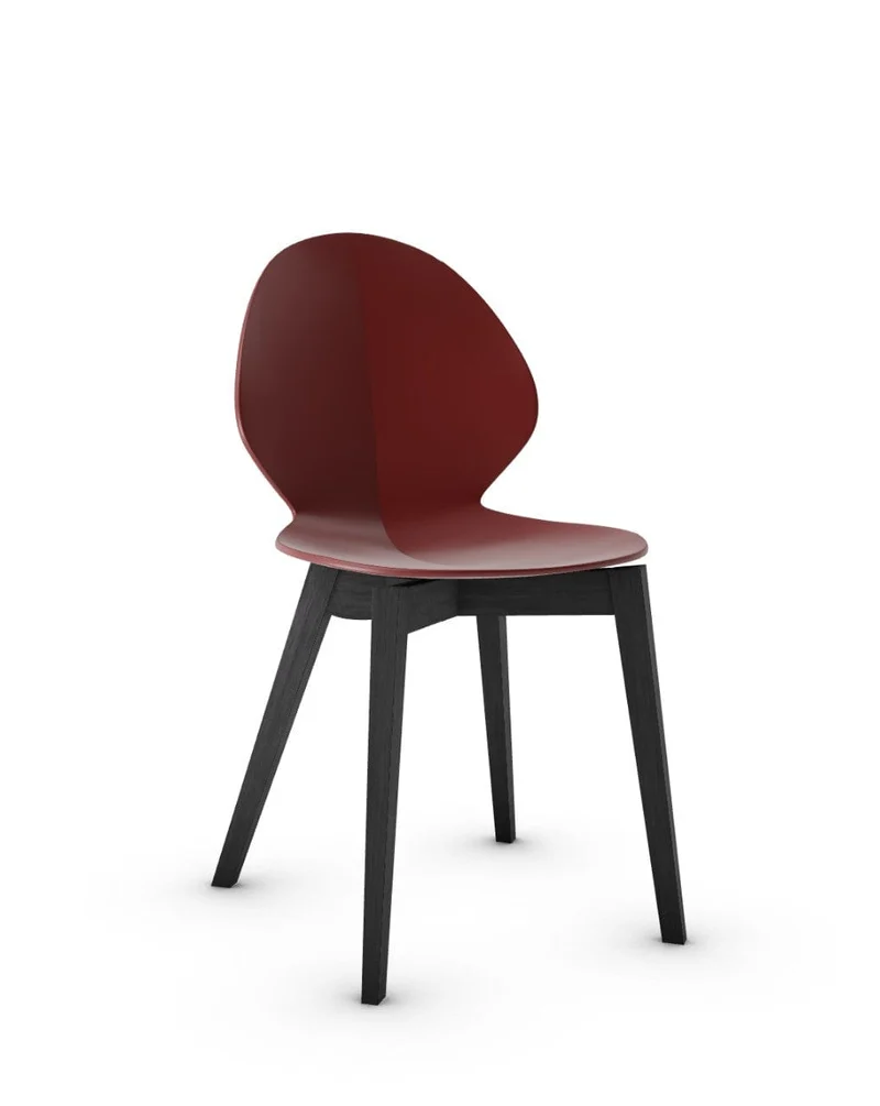 Chaise Calligaris - Basil Wood (CS1348)