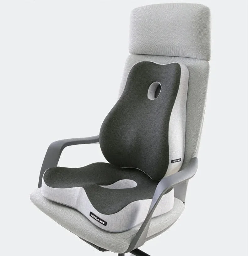 Galette de Chaise avec Dossier Ergonomique