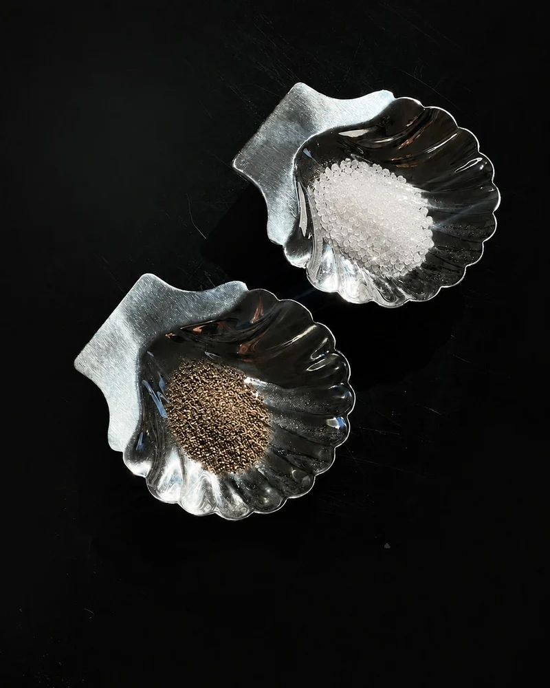 Pair of Shell Dish