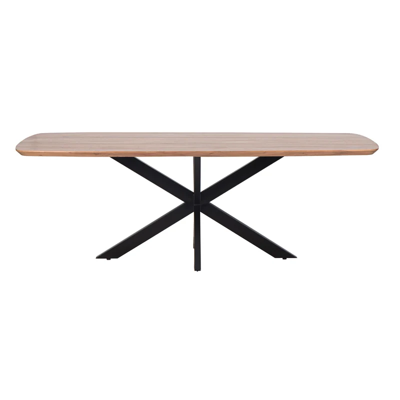 Table à manger ovale 220x105 | Omer