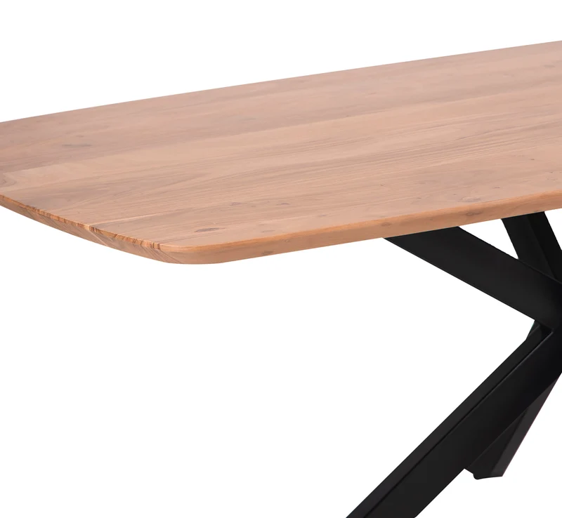 Table à manger ovale 220x105 | Omer