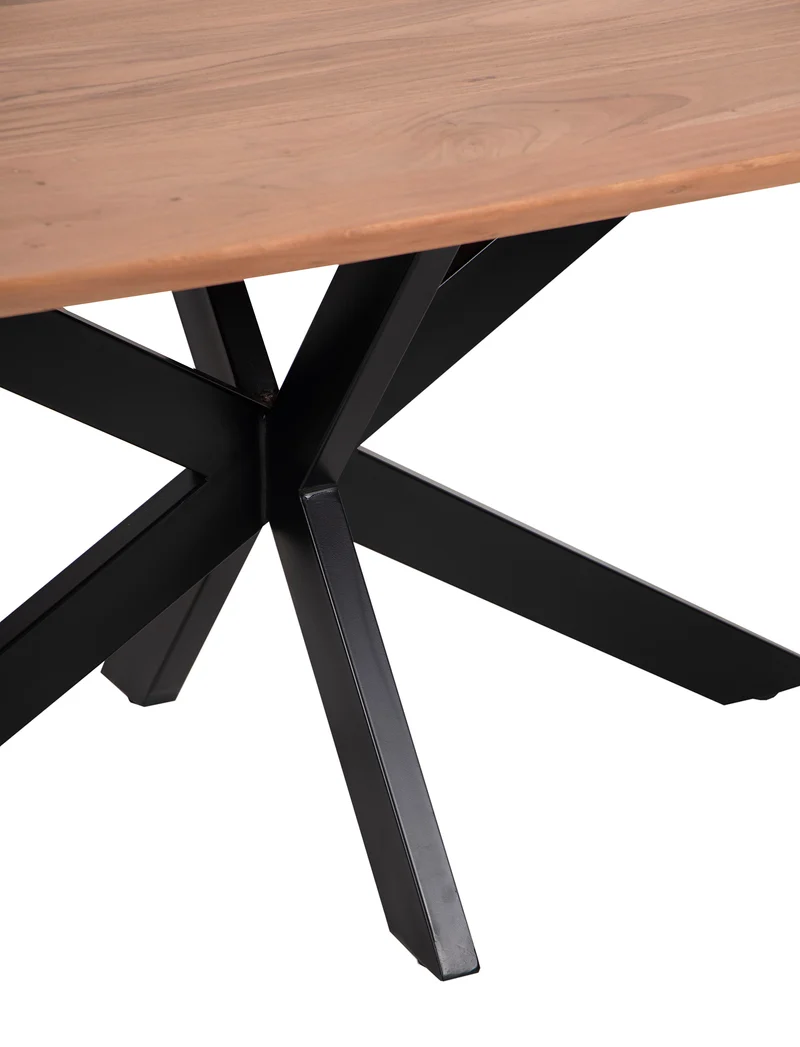 Table à manger ovale 220x105 | Omer