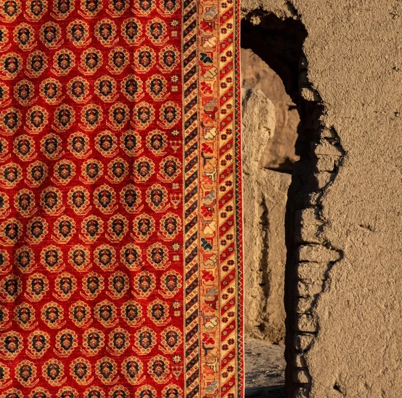 Boteh Hand-knotted rug
