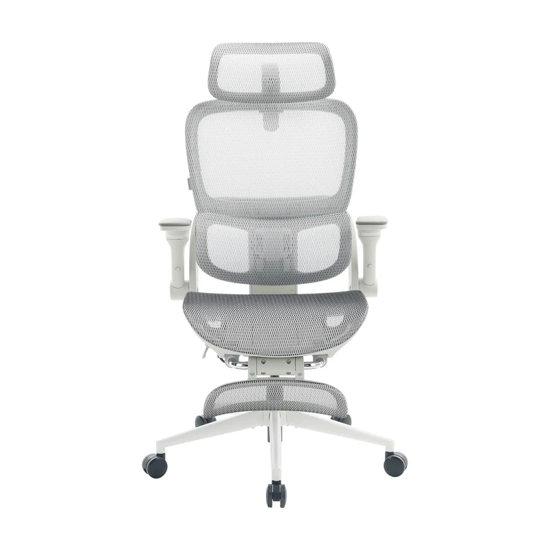 B300 Pro Chaise de bureau ergonomique