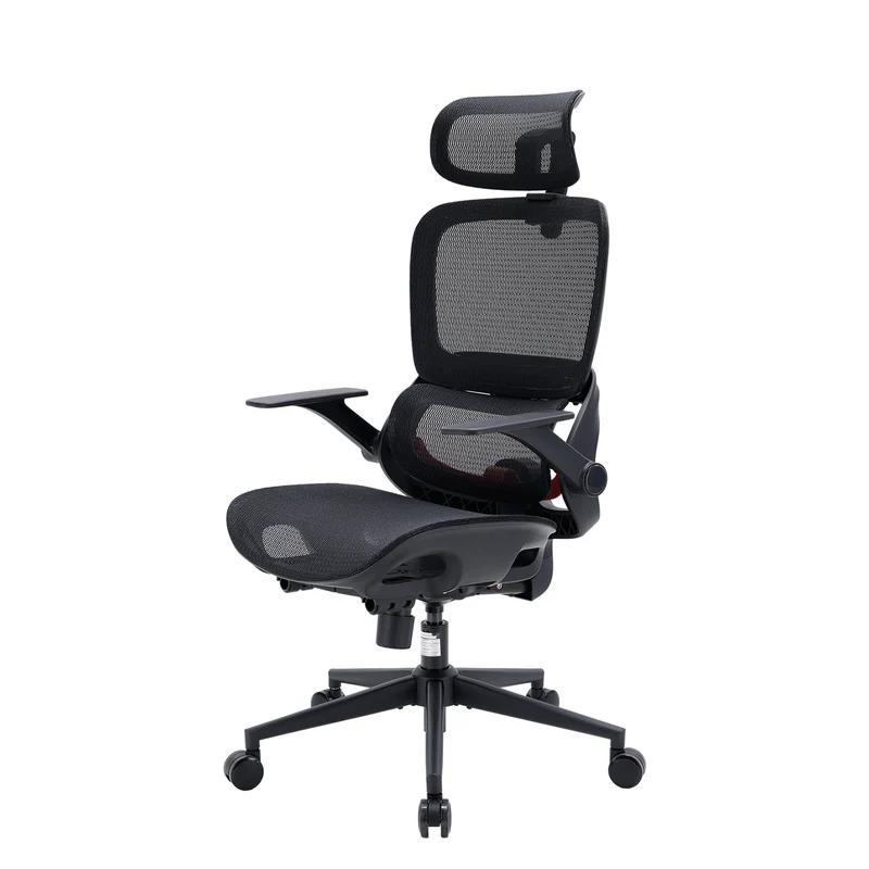 Sihoo B100 Chaise de bureau ergonomique avec accoudoirs relevables