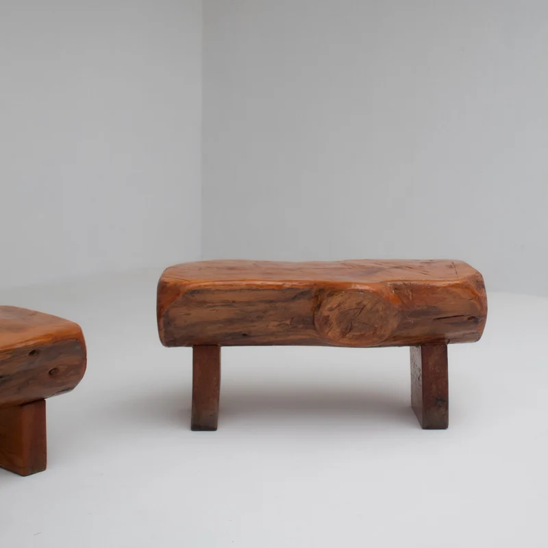 Pair of Rustic Wooden Sculptural Benches in Solid Wood