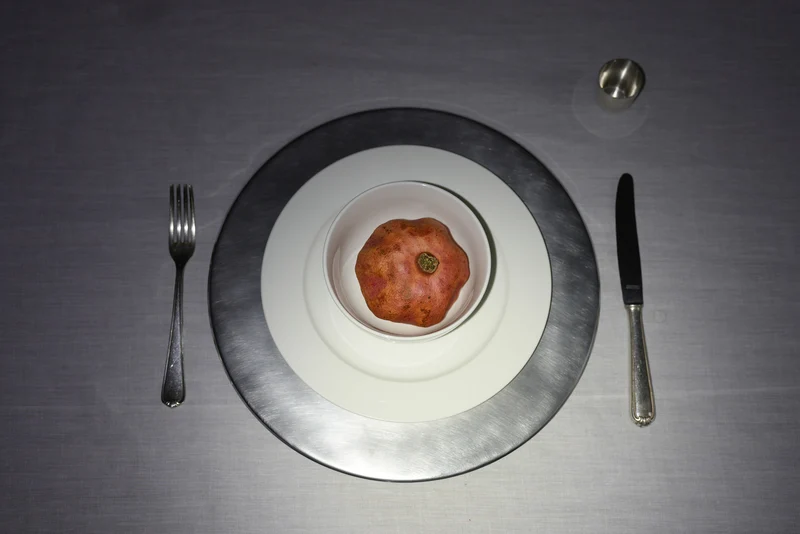 TRACES — Stainless Steel Plates