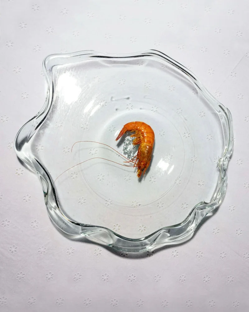 Pond - Recycled Glass Serving Plate in Clear