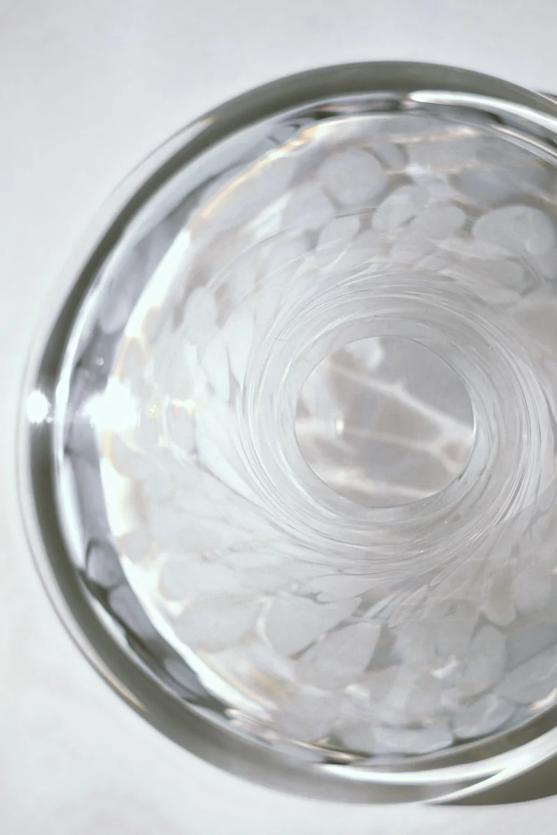 White Bowl Tortoise Glass