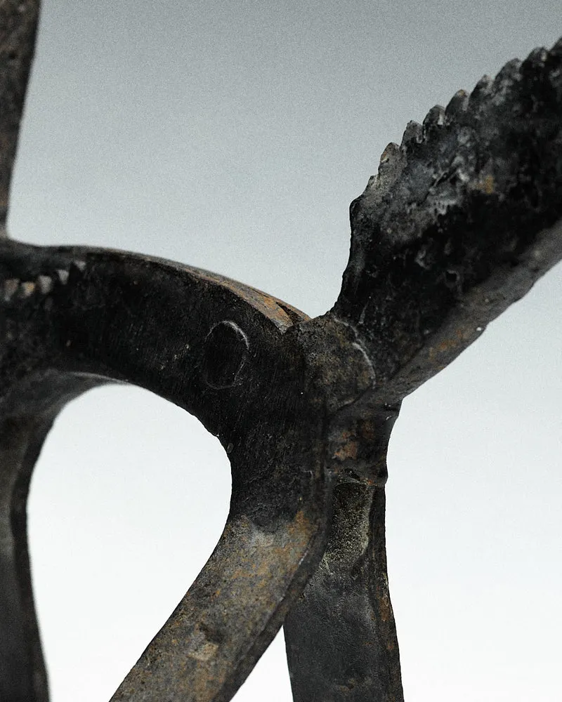 brutalist nutcracker, donkey